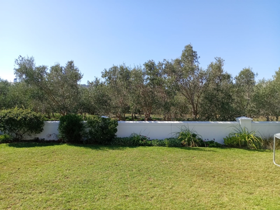 To Let 3 Bedroom Property for Rent in Croydon Olive Estate Western Cape